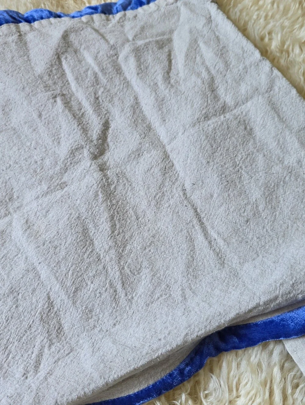 West Elm Blue Velvet Pillowcases Set Of 2